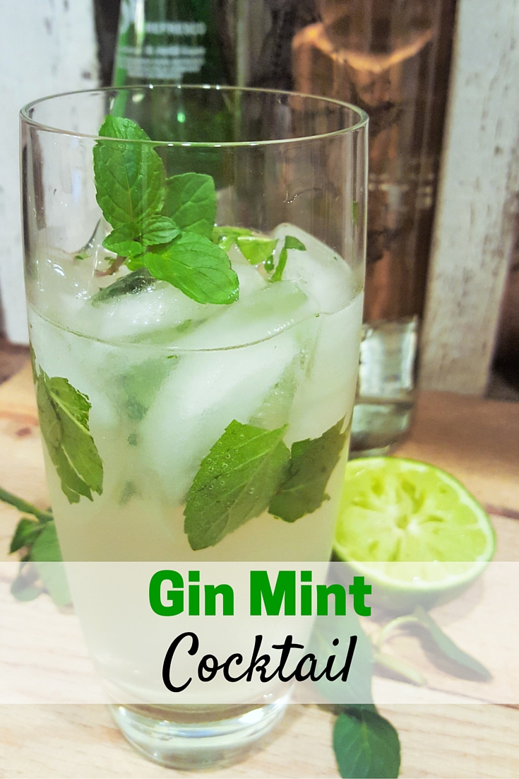 Gin Mint Cocktail - The Traveler's Nest